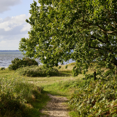 OFS_Große Breite Fleckeby_Stefan_Polte (4).jpg