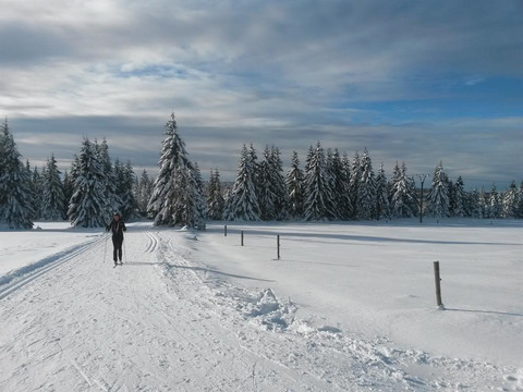 Wunderblume_4_web