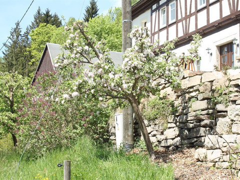 IMG_4577_Bildgröße ändern