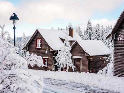 Premium Lodge im Torfhaus Harzresort