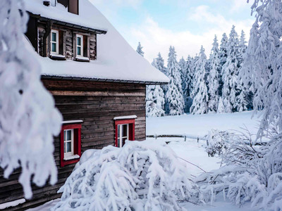 Premium Lodge Plus im Torfhaus Harzresort