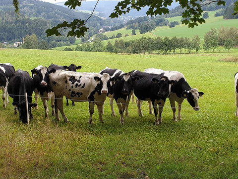 Auf Wandertour im Sehmatal, Blick zum Fichtelberg
