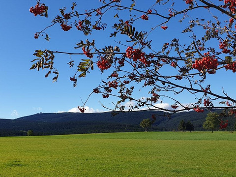 Blick zum Fichtelberg
