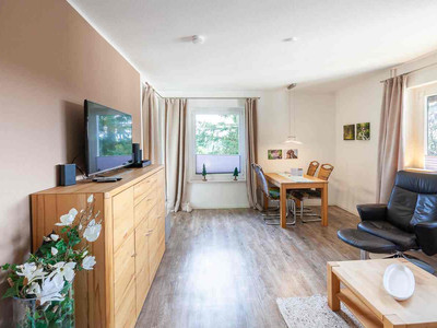 Harzdomicile in Braunlage und Sankt Andreasberg - Wohnzimmer