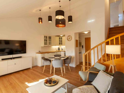 Harzdomicile in Braunlage und Sankt Andreasberg - Wohnbereich/Küche