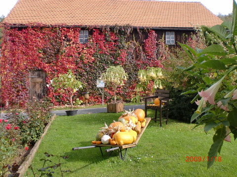 Ferienhof im Herbst