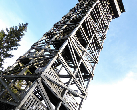 Kellerwaldturm Wüstegarten