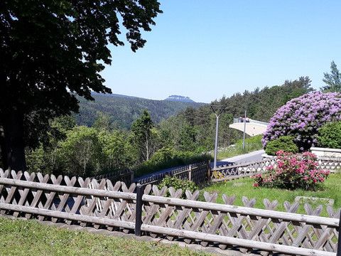 Blick zur Festung Königstein vom Garten aus