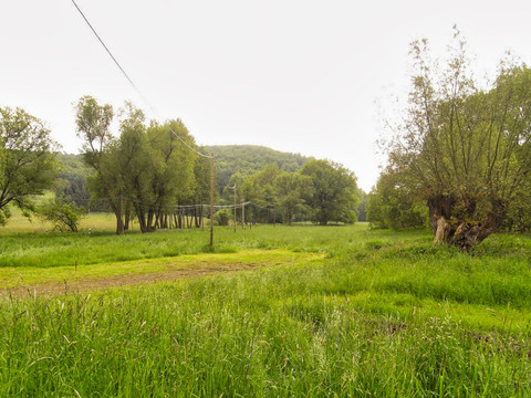 Lockwitzbachtal an der Hummelmühle
