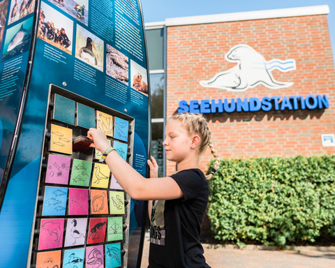 Norddeich_2019_Final (7 von 29)_bearb_VDS.jpg