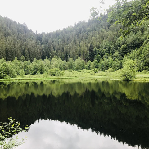 mystische Orte im Schwarzwald