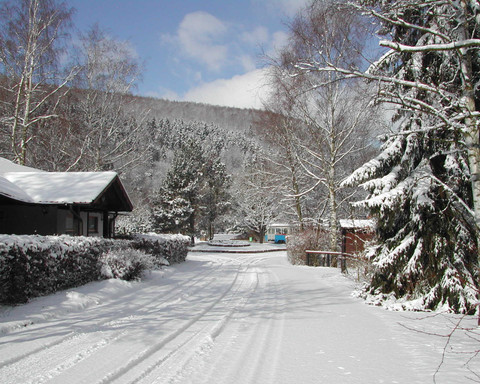 Camping- und Ferienpark Teichmann (33).jpg