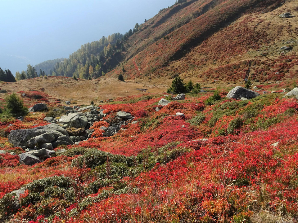 Herbstfarben Fiescheralp