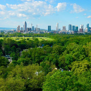 Skyline Blick auf Frankfurt grün