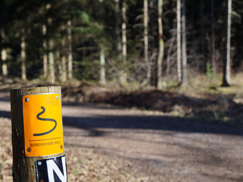 Bergischer Weg <p>Wegweiser zum Bergischen Weg vor einem ruhigen Waldweg im Hintergrund, mit sonnendurchfluteten Bäumen.</p>