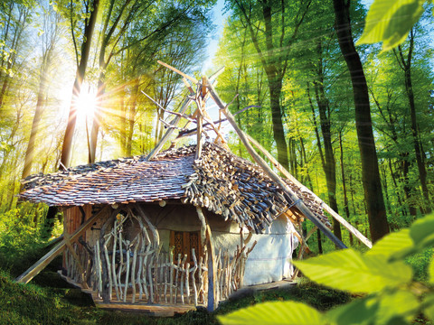 Schamanen-Schaluppe Naturbelassene Hütte im Wald mit Strohdach und Holzverzierungen, von Sonnenstrahlen beleuchtet.Natural hut in the forest with thatched roof and wooden decorations, illuminated by the sun's rays.Přírodní chata v lese s doškovou střechou a dřevěnými ozdobami, osvětlená slunečními paprsky.Naturalna chata w lesie z dachem krytym strzechą i drewnianymi dekoracjami, oświetlona promieniami słońca.Natuurlijke hut in het bos met rieten dak en houten decoraties, verlicht door de zonnestralen.Capanna naturale nella foresta con tetto di paglia e decorazioni in legno, illuminata dai raggi del sole.