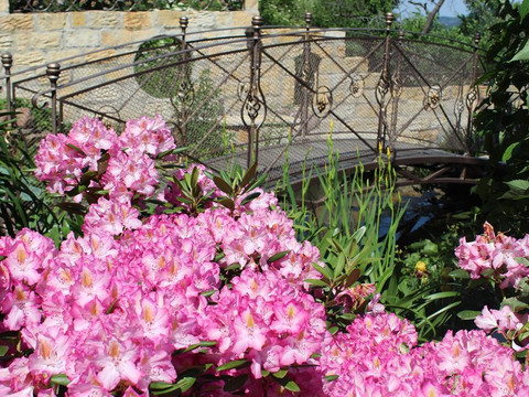 Maiblüte im Garten - Haus Karola