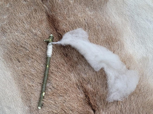 BZH Fell als Wolle .jpg