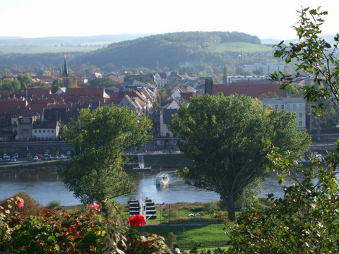 Fähre Pirna Blick auf eine Stadt mit roten Dächern und einem Fluss im Vordergrund, umgeben von grünen Bäumen und Hügeln im Hintergrund, bei sonnigem Wetter.