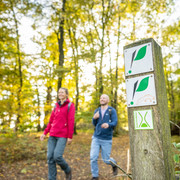 Hoexter-Rabenklippen-Teutoburger-Wald-Tourismus-D-Ketz-113.jpg Zwei Wanderer im roten und blauen Outfit spazieren durch einen herbstlichen Wald mit Wegweisern.