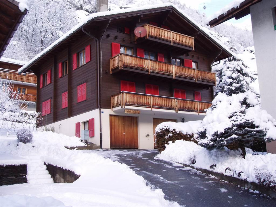 Haus Winter vom Süden her