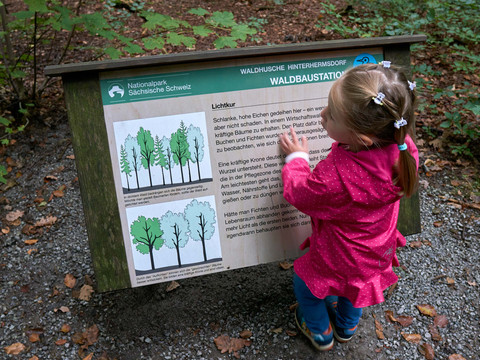 Waldhusche Hinterhermsdorf Ein kleines Mädchen in pinker Jacke betrachtet ein Informationsschild im Nationalpark Sächsische Schweiz, umgeben von Wald.