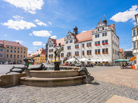 Rynek Torgau Fontanna na rynku w Torgau przed zabytkowymi budynkami pod błękitnym niebem.