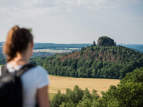Blick von der Kaiserkrone zum Zirkelstein Eine Frau mit Rucksack blickt auf einen bewaldeten Hügel mit Felsen in einer grünen Landschaft unter blauem Himmel.