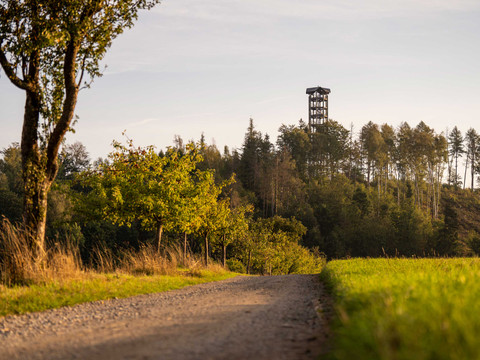 Uitzicht op de Weifbergtoren Ein Schotterweg führt durch eine grüne Landschaft mit Bäumen, im Hintergrund steht ein hölzerner Aussichtsturm unter klarem Himmel.