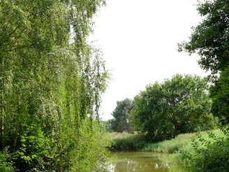 Fluss Gifhorn.jpg Fluss Gifhorn