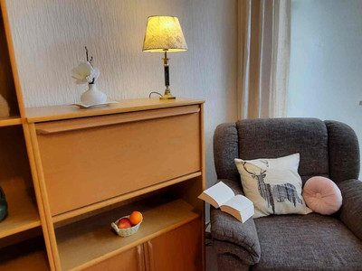 Ferienwohnungen am Birkenweg in Braunlage - Wohnzimmer mit Sessel