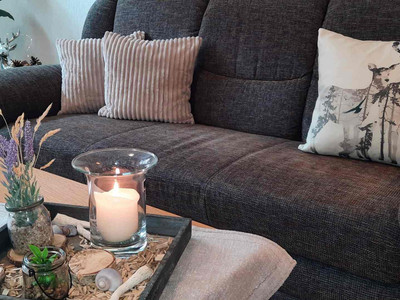 Ferienwohnungen am Birkenweg in Braunlage - Wohnzimmer mit Sofa