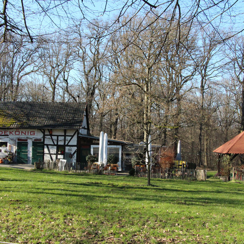 Waldwirtschaft Heidekönig