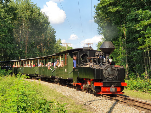 Dampflok in Richtung Bad Muskau Ein historischer Zug fährt durch einen Wald, mit Passagieren in offenen grünen Waggons.