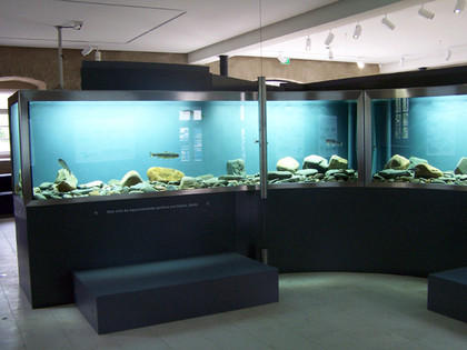 aquarium_gesamt.jpg