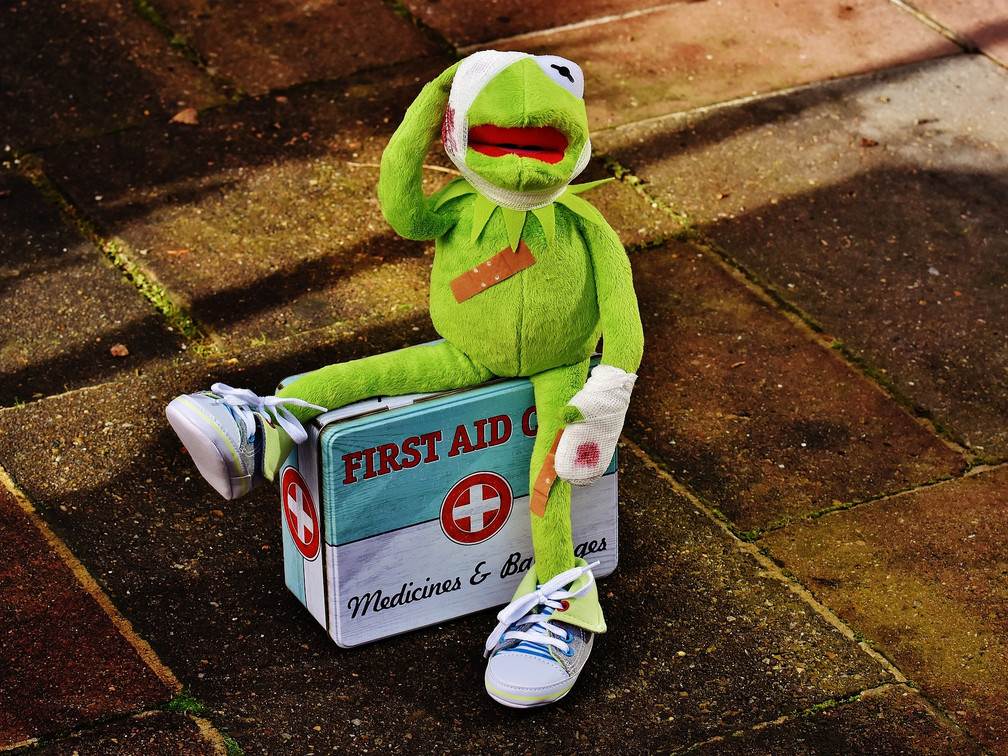 VA-Erste-Hilfe-Kids-Kermit.jpg