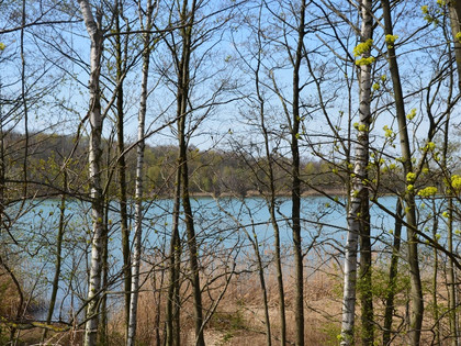 Reihersee Salzgitter-Gebhardshagen im Höhenzug Salzgitter im Frühling