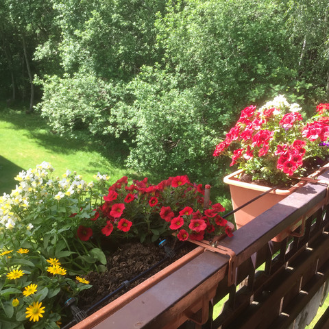 Ferienwohnung Kuckuck Blick Ins Gruene Ferienwohnung Kuckuck Blick Ins Gruene