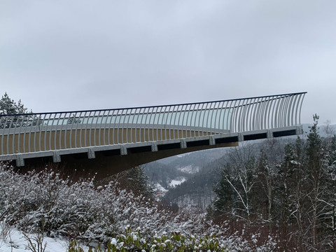 Skywalk Bad Schandau im Winter Moderne Brücke mit geschwungenem Geländer über schneebedeckter Landschaft, umgeben von kahlen Bäumen und bewölktem Himmel.