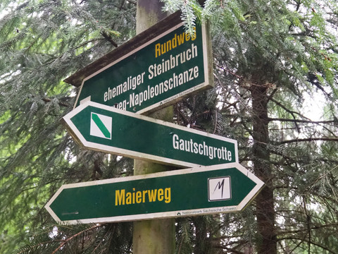 Signposting to the Gautschgrotte in Hohnstein Grüne Wegweiser im Wald zeigen zu "ehemaliger Steinbruch", "Gautschgrotte" und "Maierweg" im Nationalpark Sächsische Schweiz.