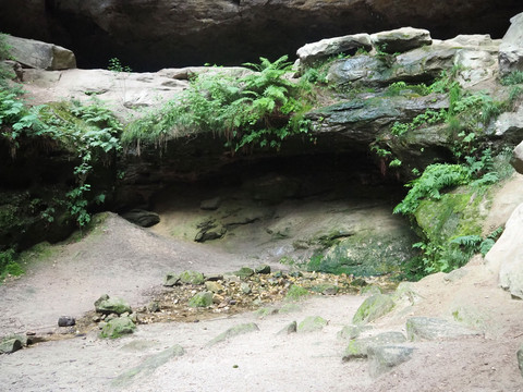 Gautschgrotte Hohnstein Ein natürlicher Felsüberhang mit grünen Farnen und Moos, darunter ein kleiner Bachlauf auf sandigem Boden in einer ruhigen, schattigen Umgebung.
