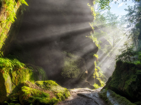 Uttewalder Grund Ein bewachsener Felsenspalt im Uttewalder Grund, durch den Sonnenstrahlen und Nebel eindringen.