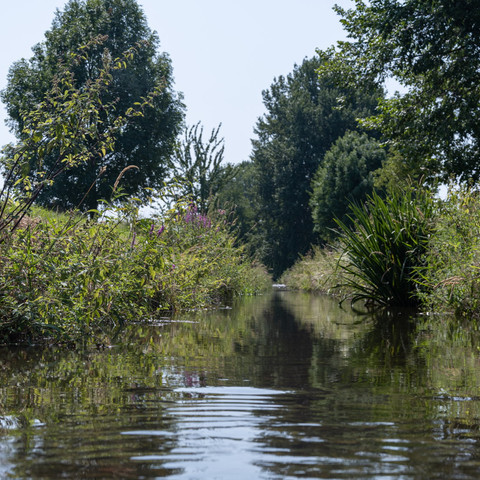 Auenlandschaft am Swistbach, EifelSpur zwischen Ville und Eifel