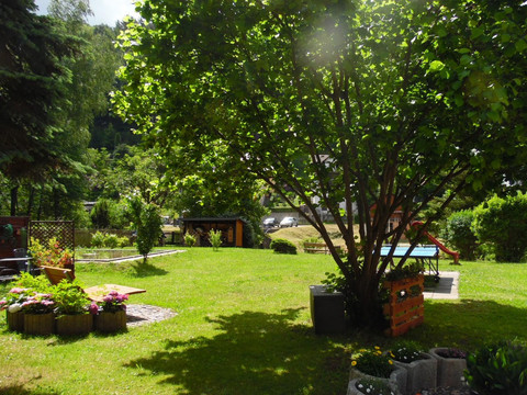 Geplegter Garten