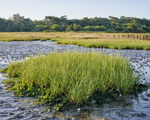 Nationalpark Niedersächsisches Wattenmeer