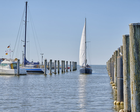 Hafen in Dorum-Neufeld, Wurster Nordseeküste