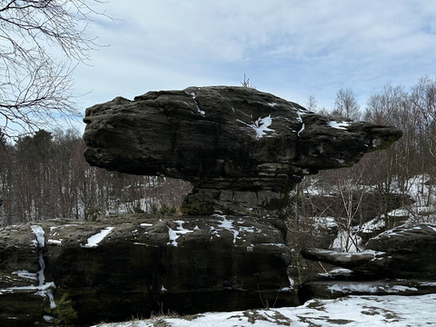 Tyssaer Wände - Pilz Ein großer, schneebedeckter Felsen in einer winterlichen Landschaft mit kahlen Bäumen und bewölktem Himmel.A large, snow-covered rock in a wintry landscape with bare trees and a cloudy sky.Velká zasněžená skála v zimní krajině s holými stromy a zataženou oblohou.Duża, pokryta śniegiem skała w zimowym krajobrazie z nagimi drzewami i zachmurzonym niebem.Een grote, besneeuwde rots in een winters landschap met kale bomen en een bewolkte lucht.Una grande roccia coperta di neve in un paesaggio invernale con alberi spogli e cielo nuvoloso.