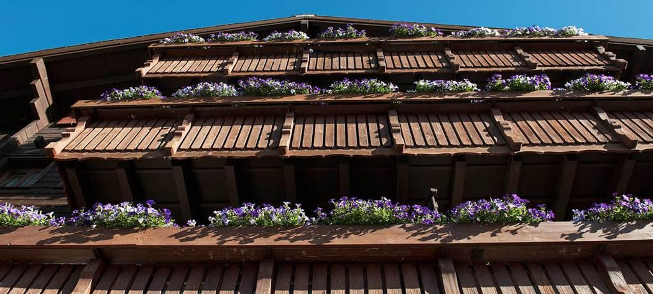 hotel_bettmeralp_aletsch_ferien_bettmeralp_urlaub_