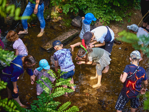 Mensen waden door een ondiep beekje, veel kinderen, omringd door groen gebladerte.