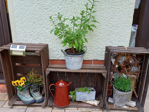 Impressionen aus dem Grundstück